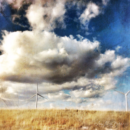 Kansas Windfields